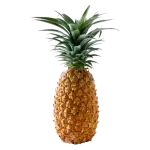 PINEAPPLE FULL 1