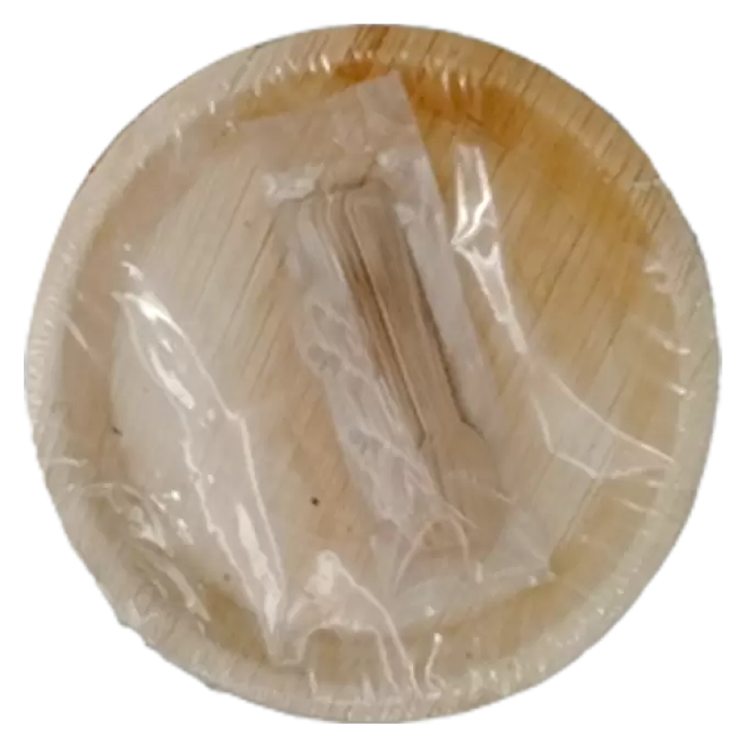 ARECA LEAF PLATES SIZE:10 10 in