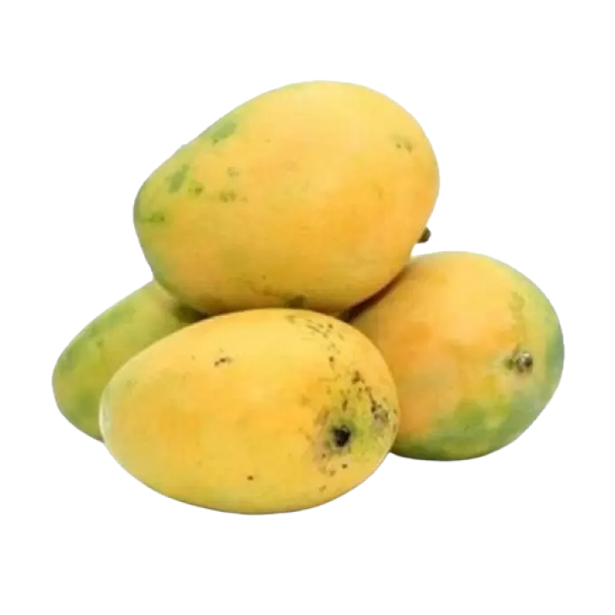 MANGO JAVADHU 1 kg