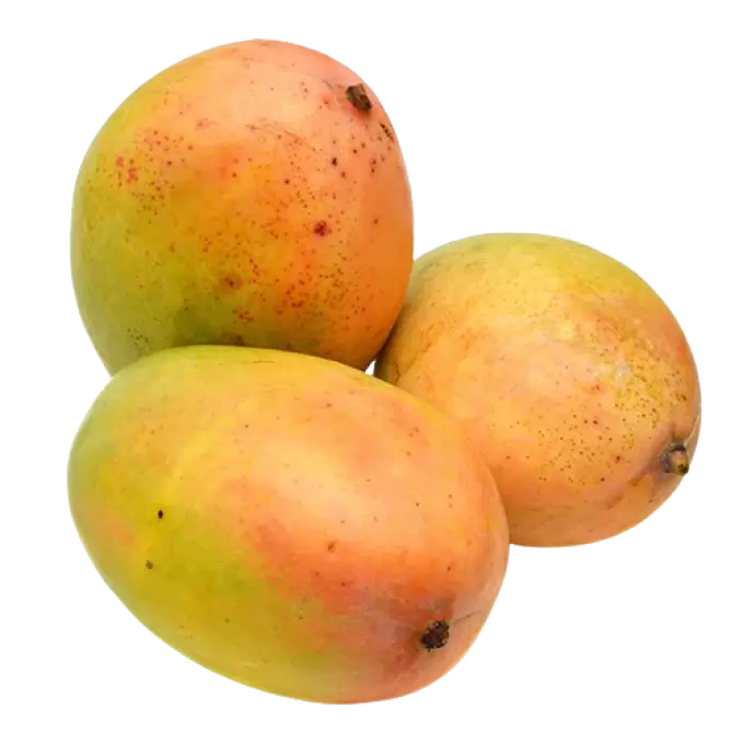 MANGO NEELAM 1 kg