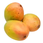 Mango neelam
