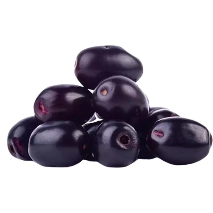 NAVABALAM 500 gm