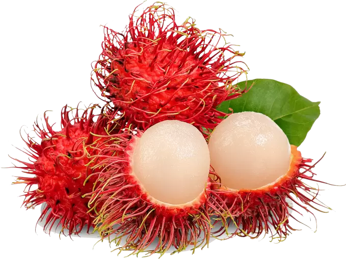 RAMBUTAN FRUITS 500 gm