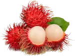 Rambutan fruits