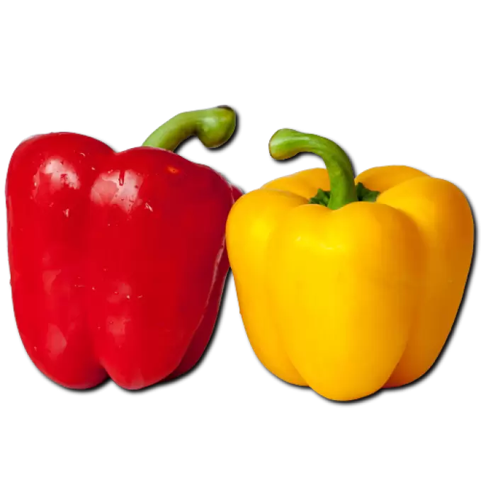 COLOUR CAPSICUM 250 gm