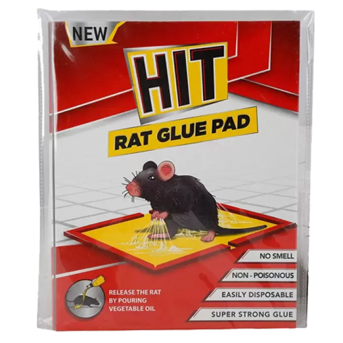 HIT RAT GLUE PAD 1 Nos