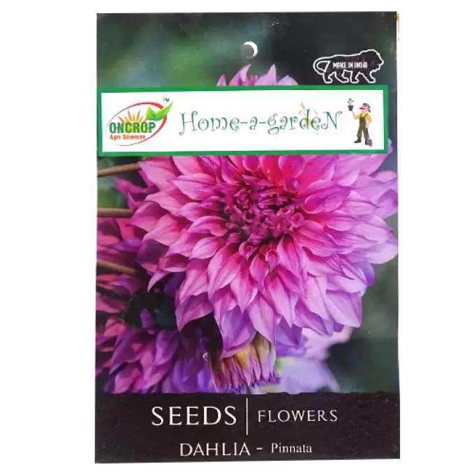 ONCROP DAHLIA FLOWERS SEEDS 1N 1 Nos