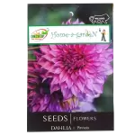 Oncrop Dahlia Flowers Seeds 1n