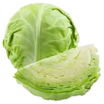 Cabbage