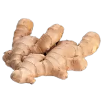 Ginger